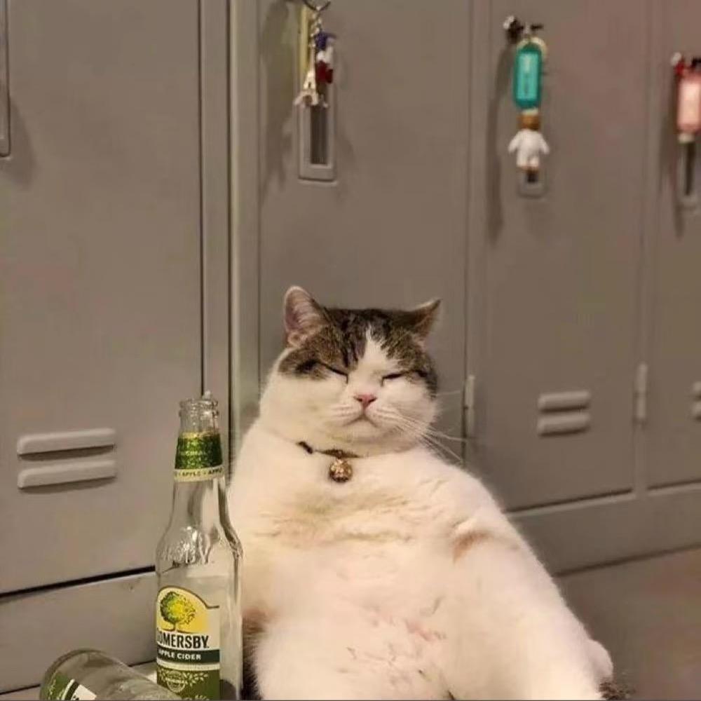 定西益宸星商贸有限公司