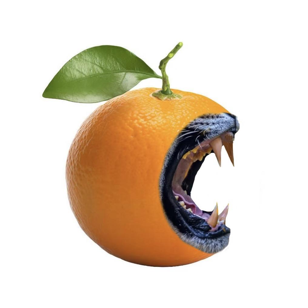 大橘橘