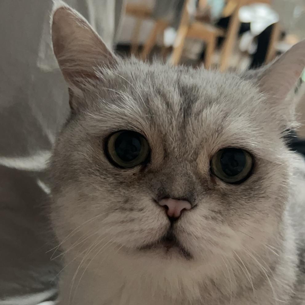 大疆是干饭喵🐱