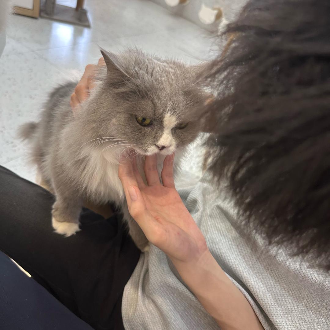 Yorzoom（无畏契约）