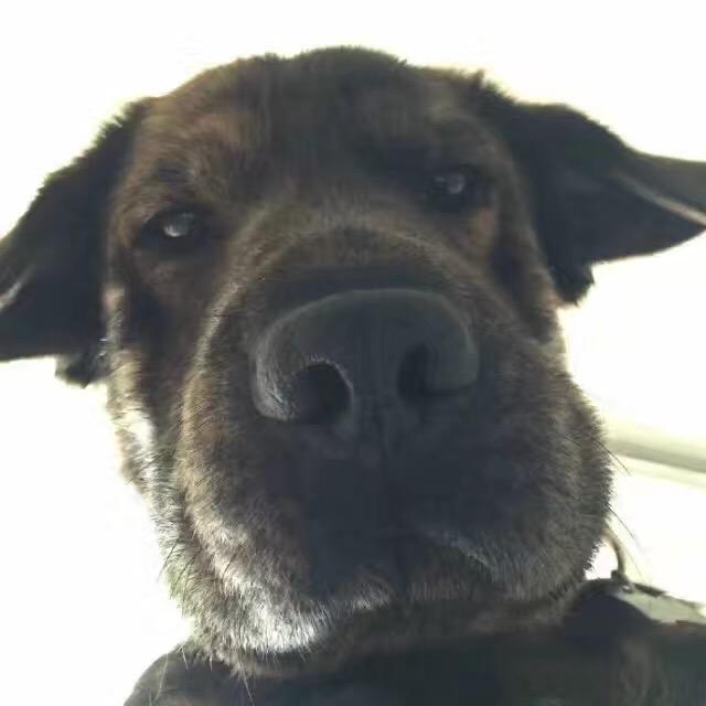看不清的老巢