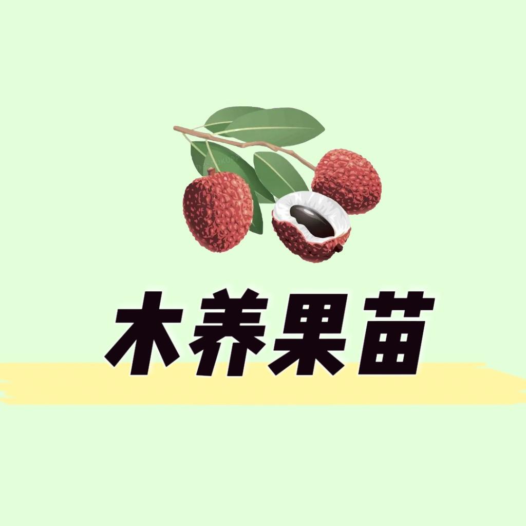 木养园林苗木店