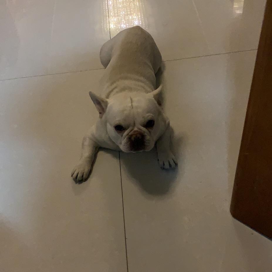 一杯清茶@