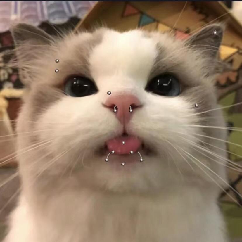 自贡穿孔Lulu（耳钉饰品版）