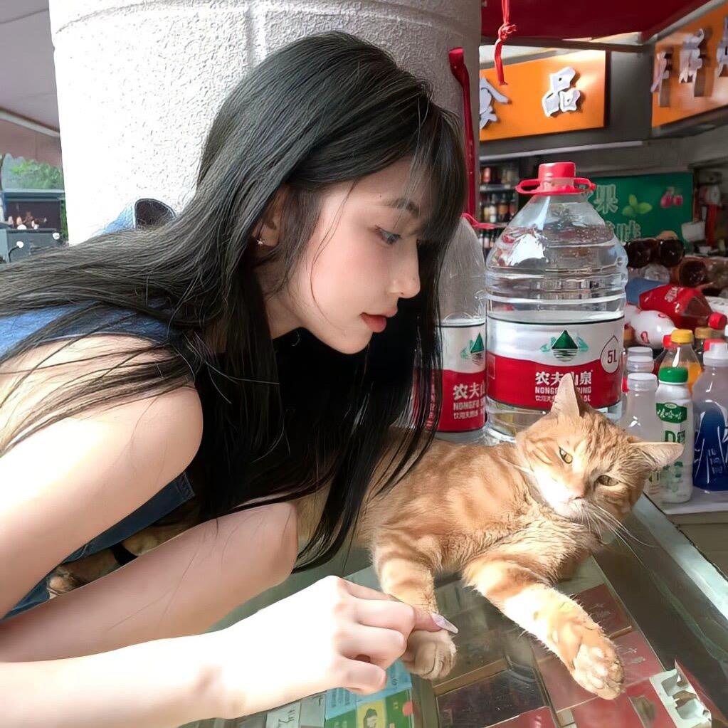 不会说话的蛋挞