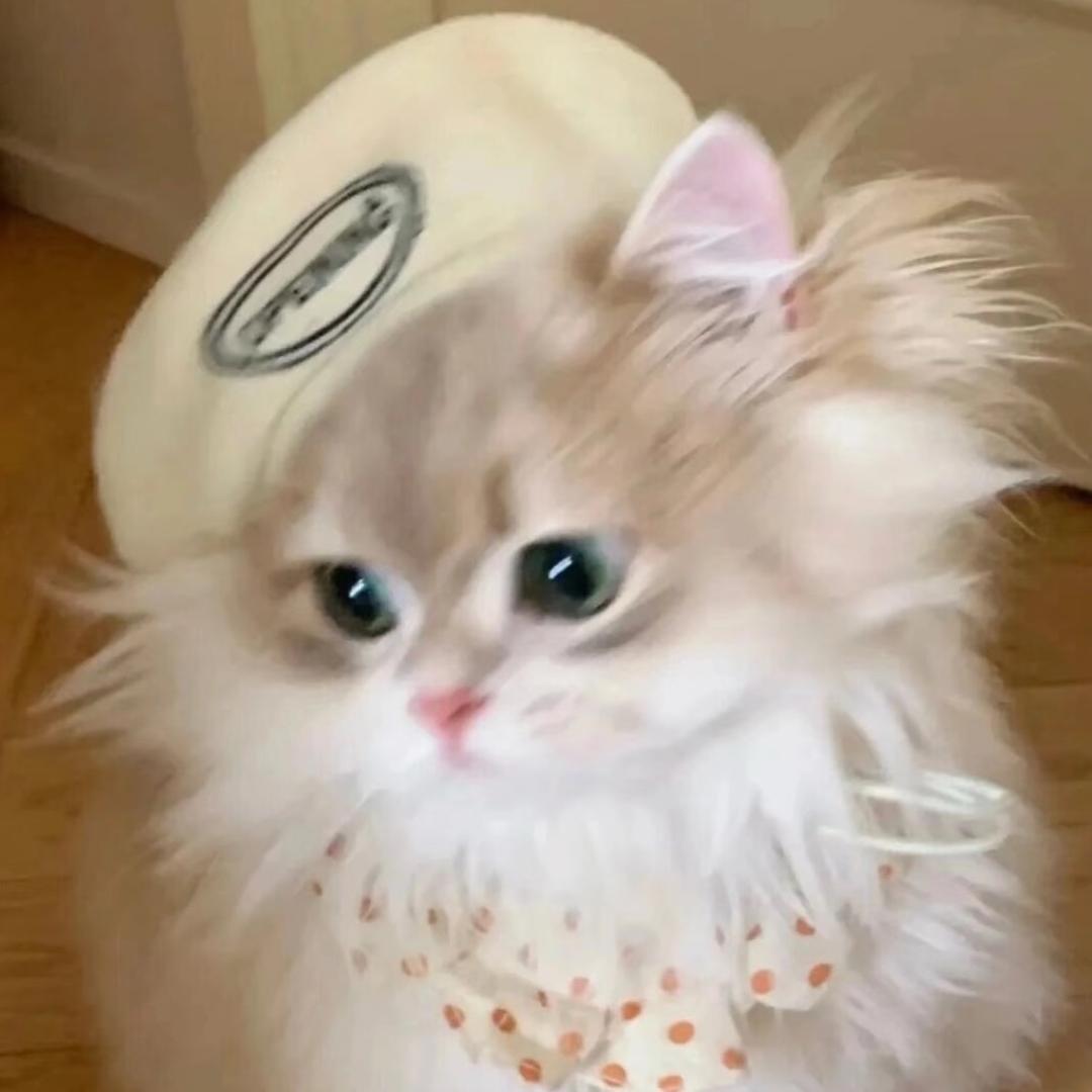 耀眼小羊💞