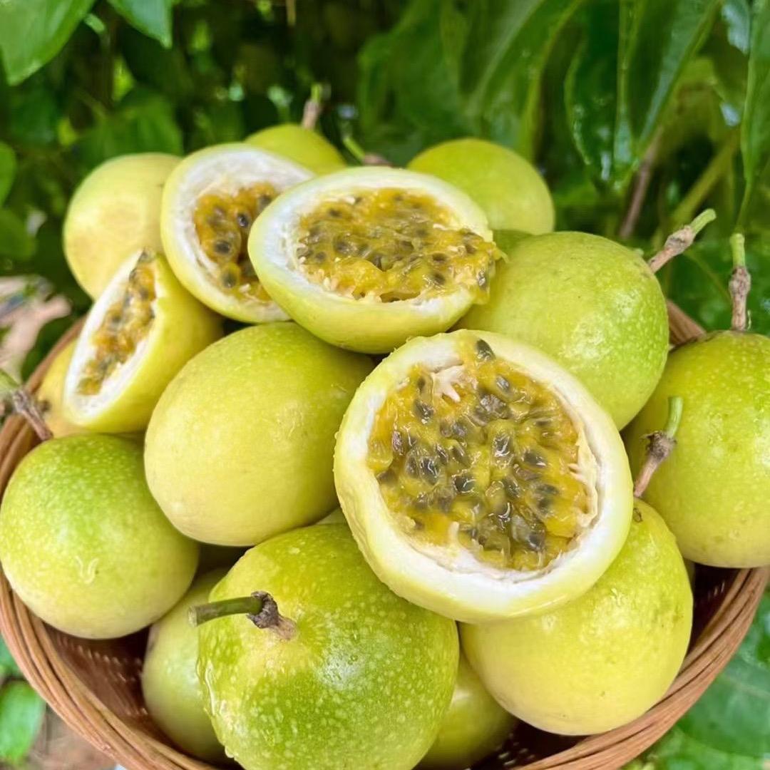 北流市林伟果业