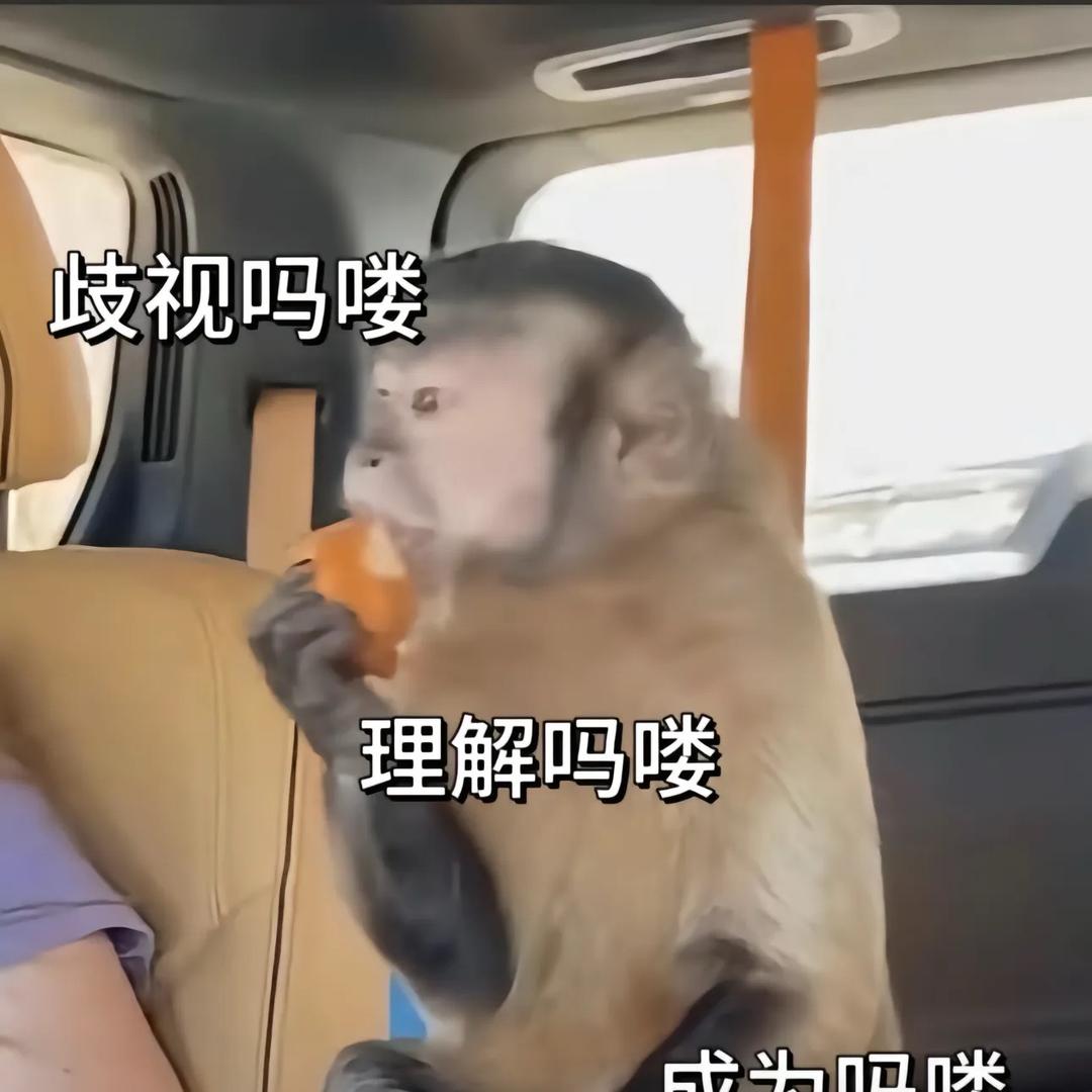马戏团的吗喽🐒