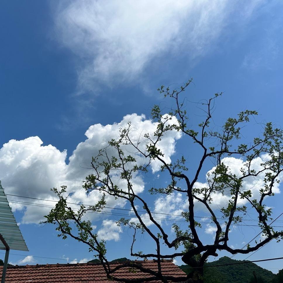 小吕的东北农村生活