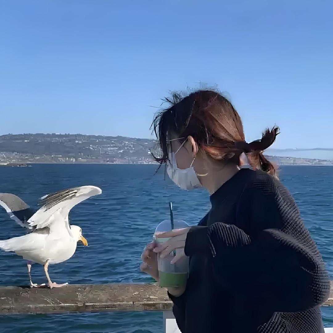 橙子🍊。