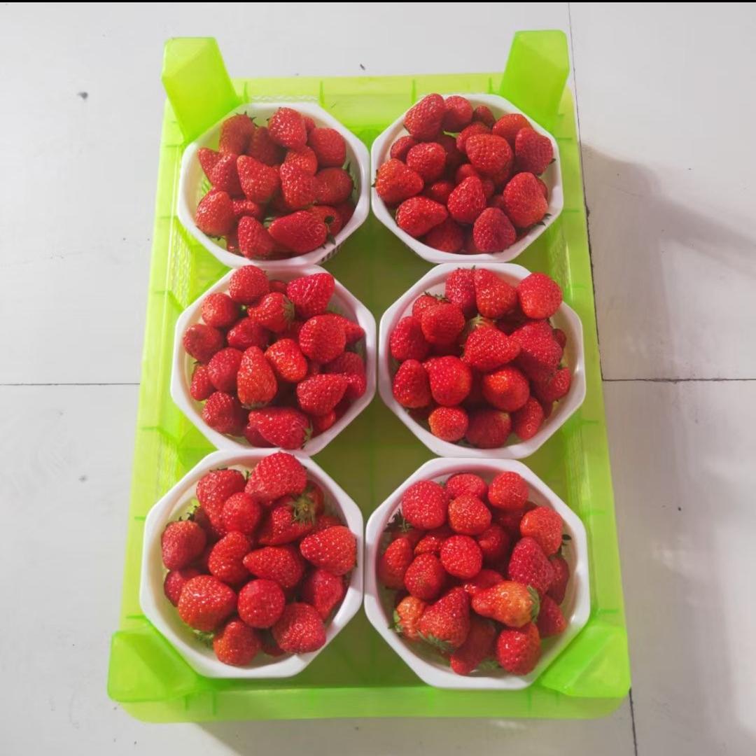 刘晓东