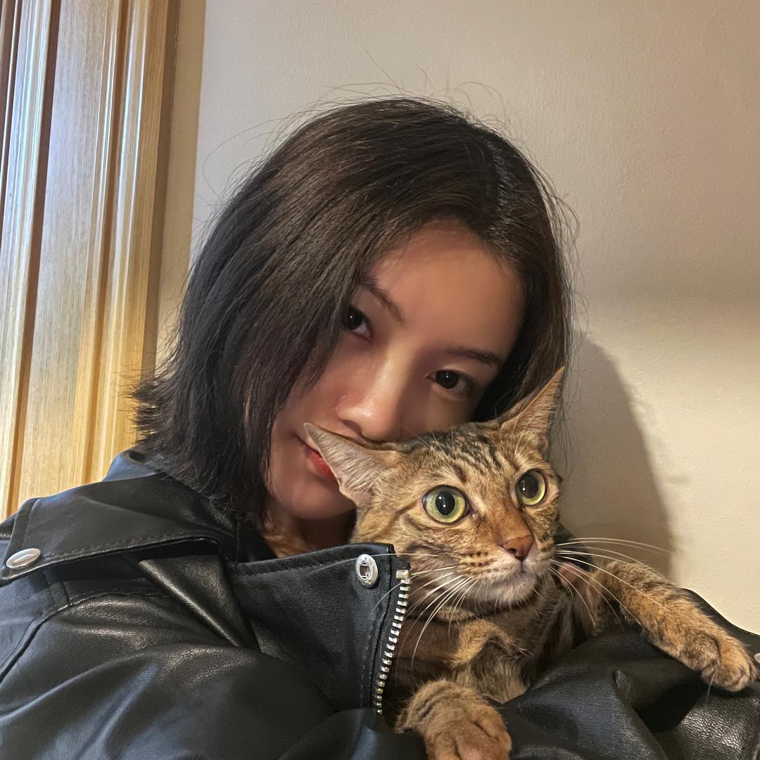 阿昭的昭