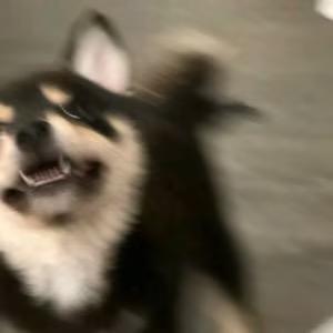 我太爱躺了ovo