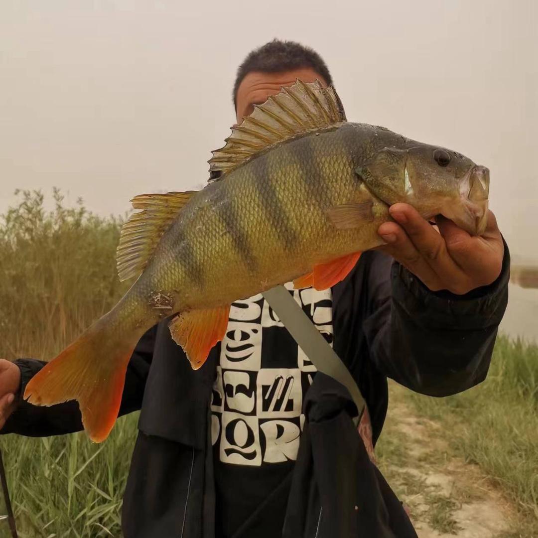 🎣°- 𝓑𝓪𝓲  ᥫᩣ