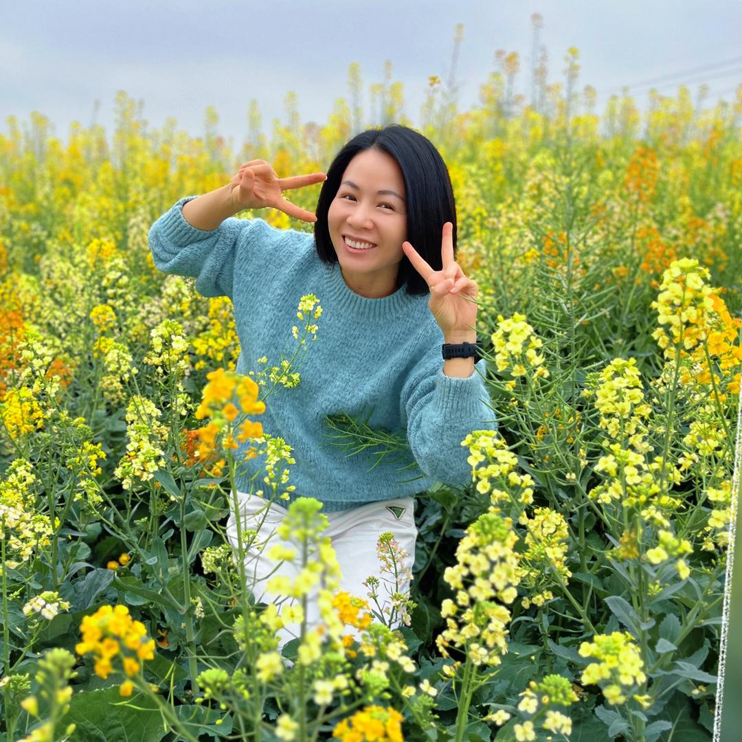 小燕子呀