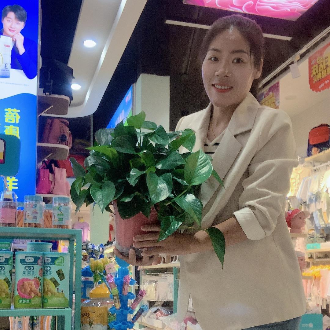 咸丰二妹