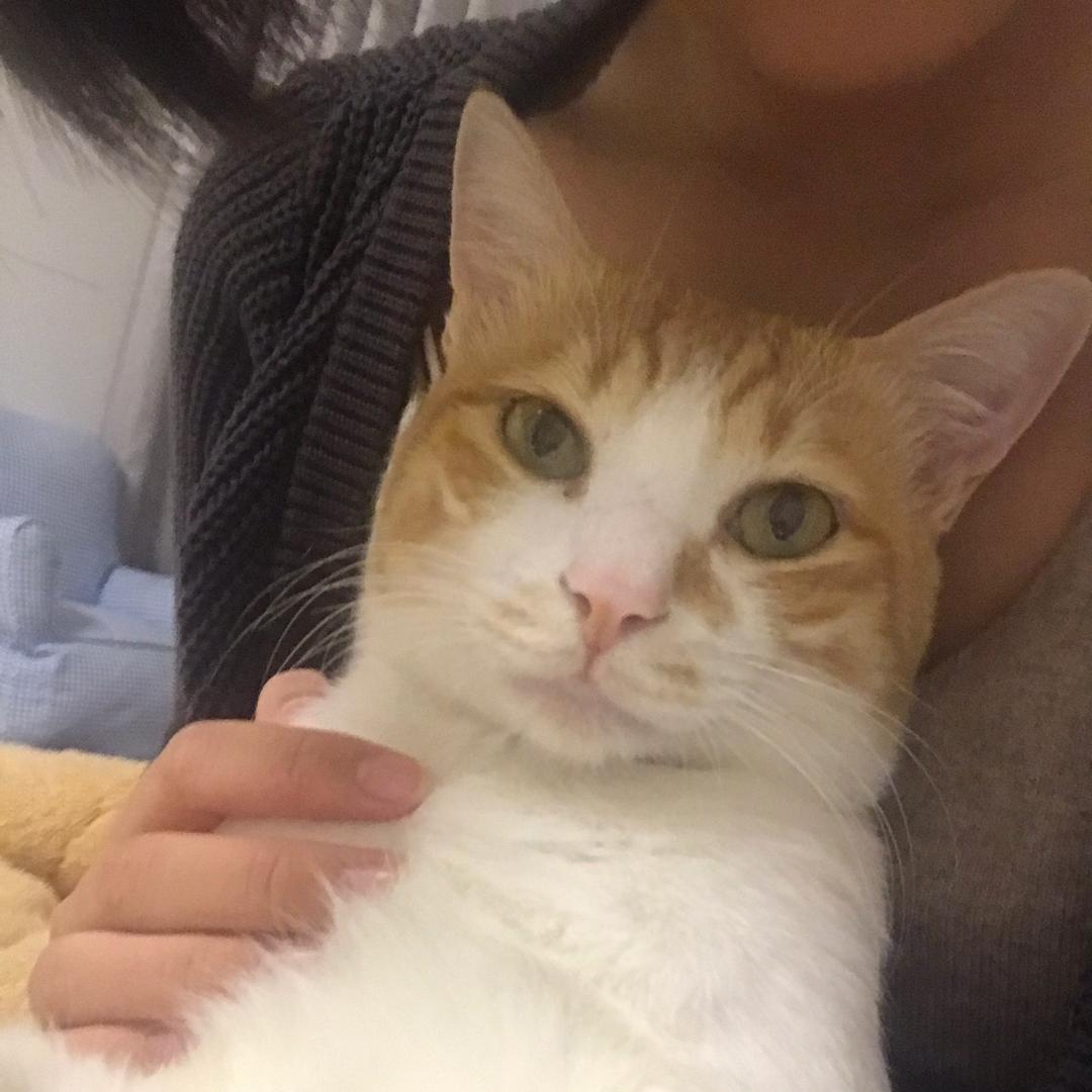 以梦为马 越骑越傻