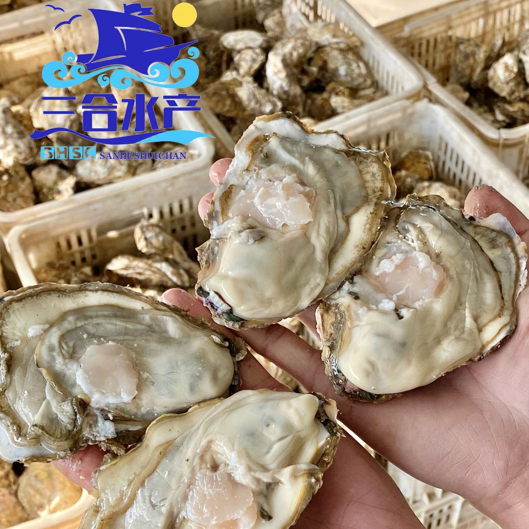 【三合生鲜突击队】