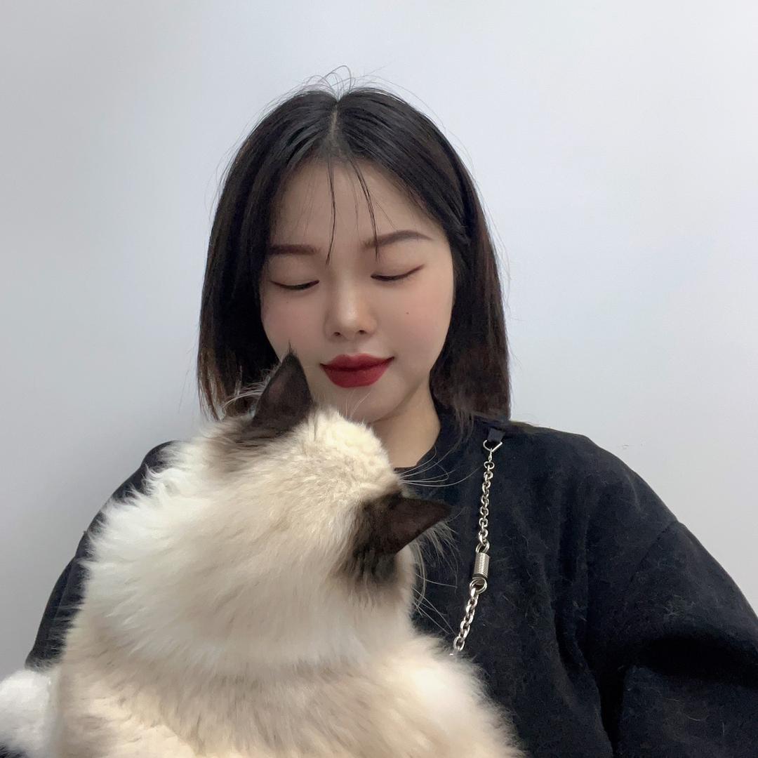 喵汪府宠物-代莹🍓