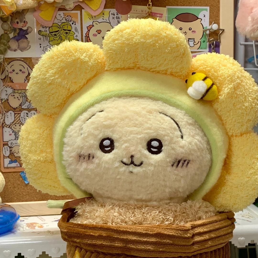 程小舟