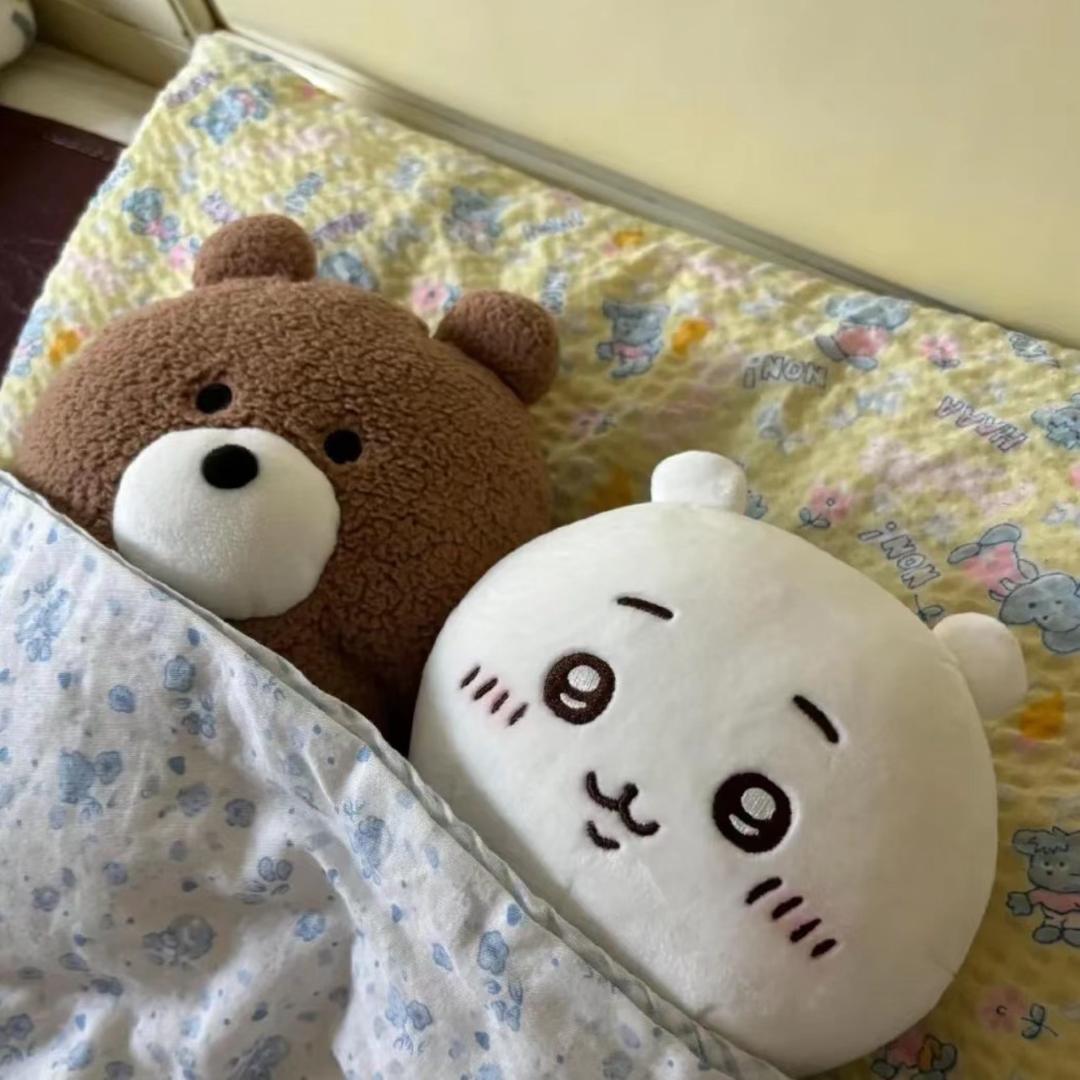 绝对正确的小熊猫