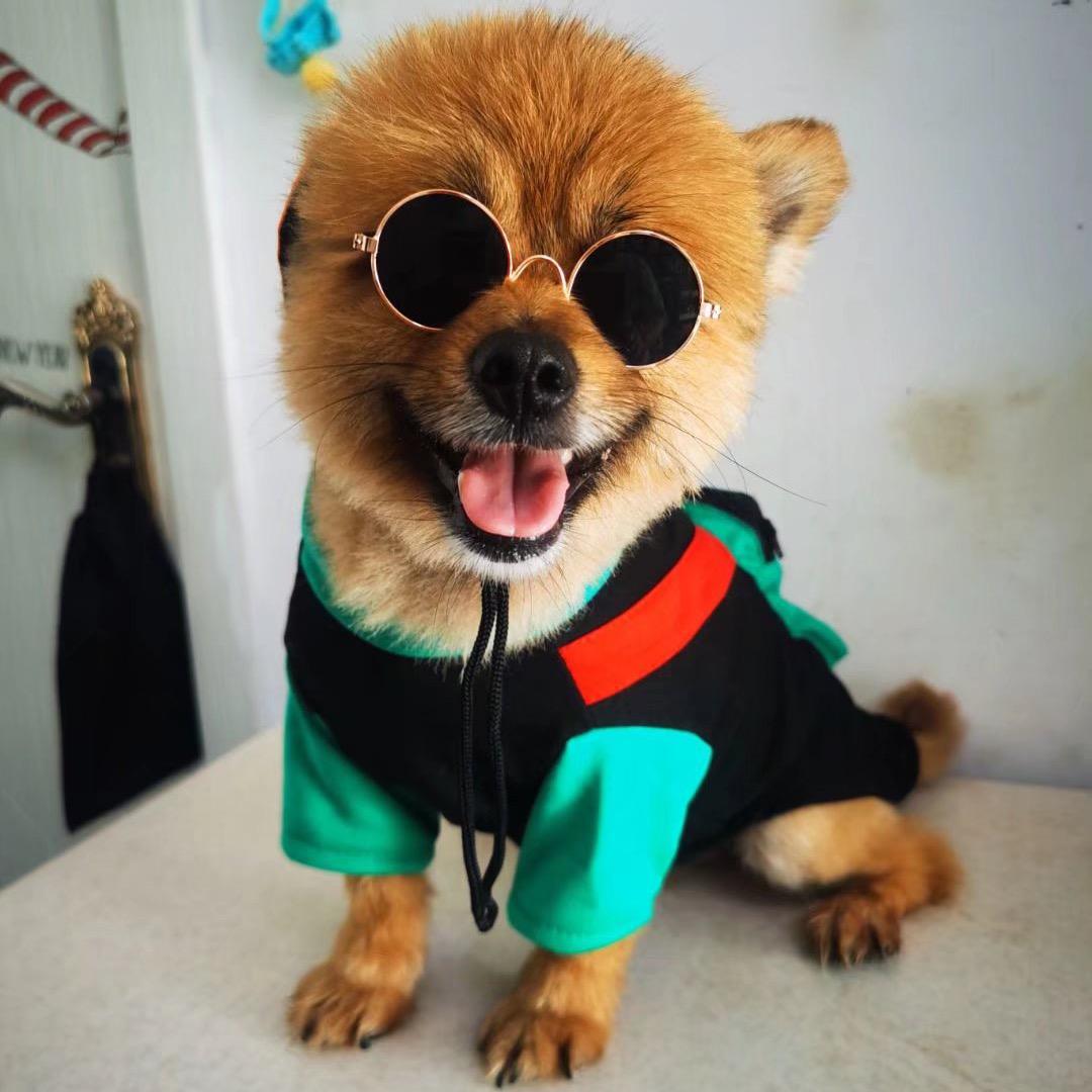 辽源晟康动物医院