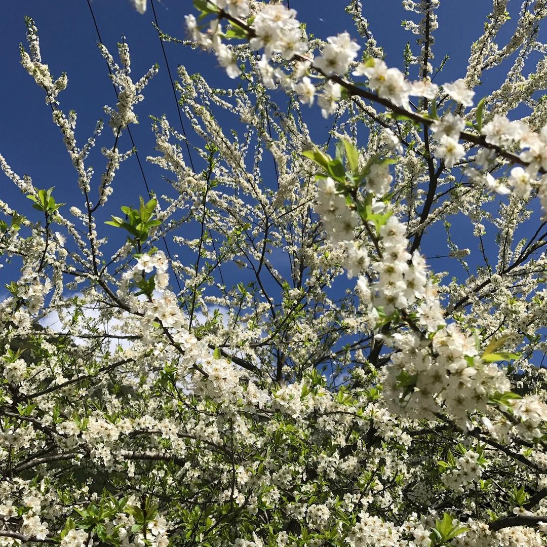 恍然大悟_251148070