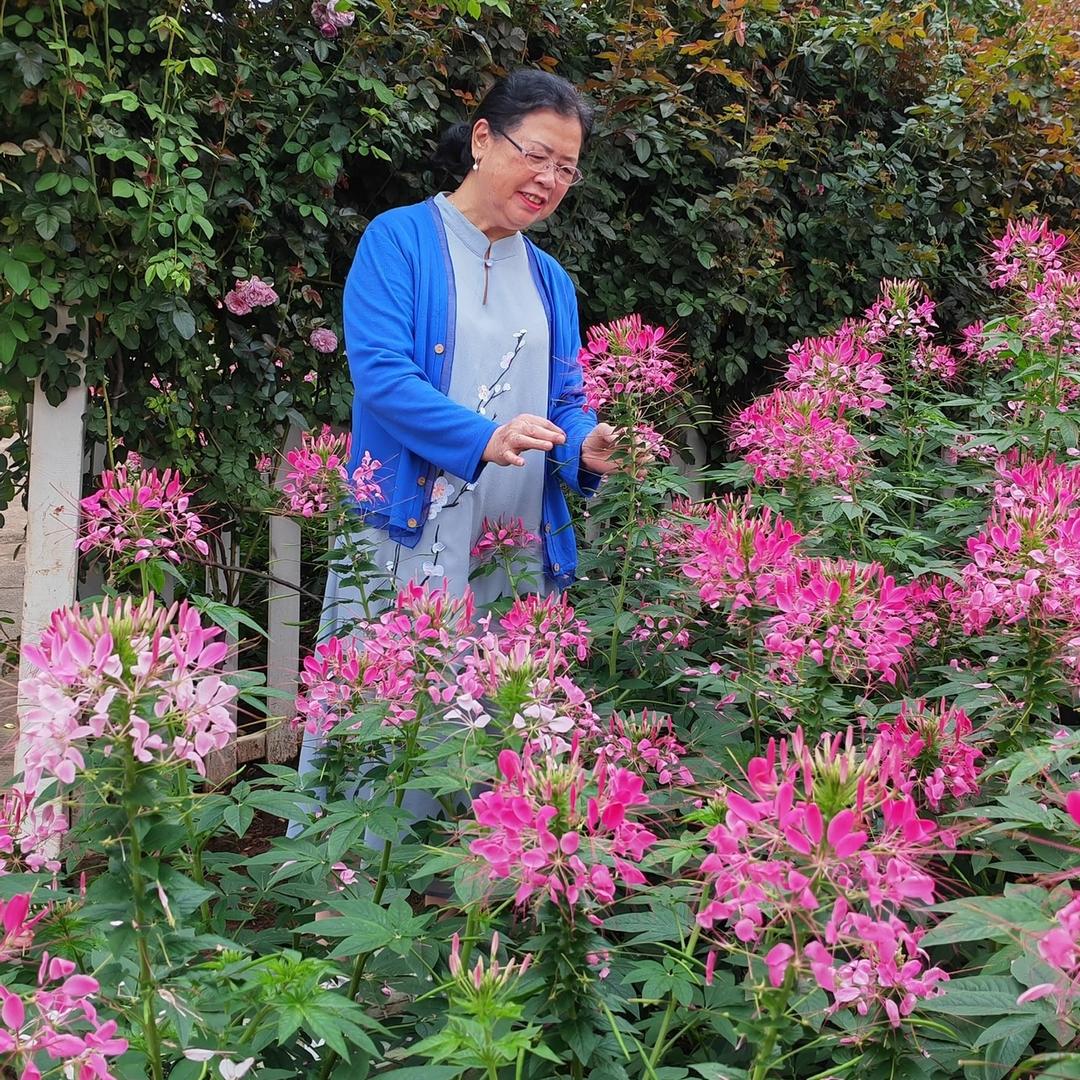 蓉蓉52年的龙