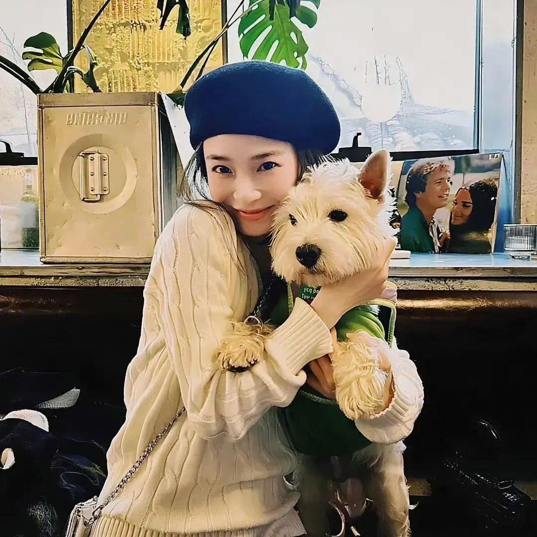 泡泡-