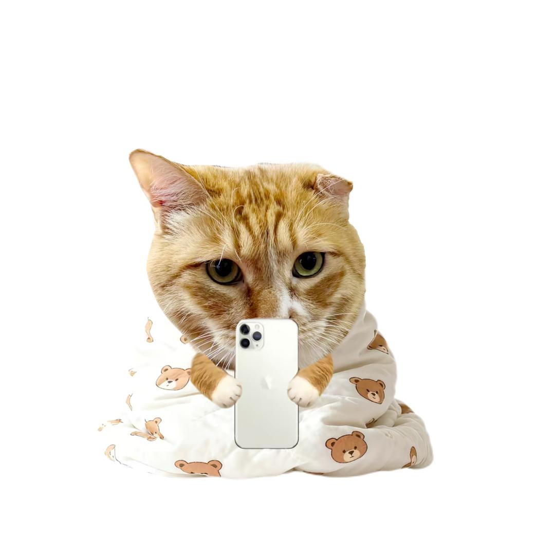 小🦀️的发财日记