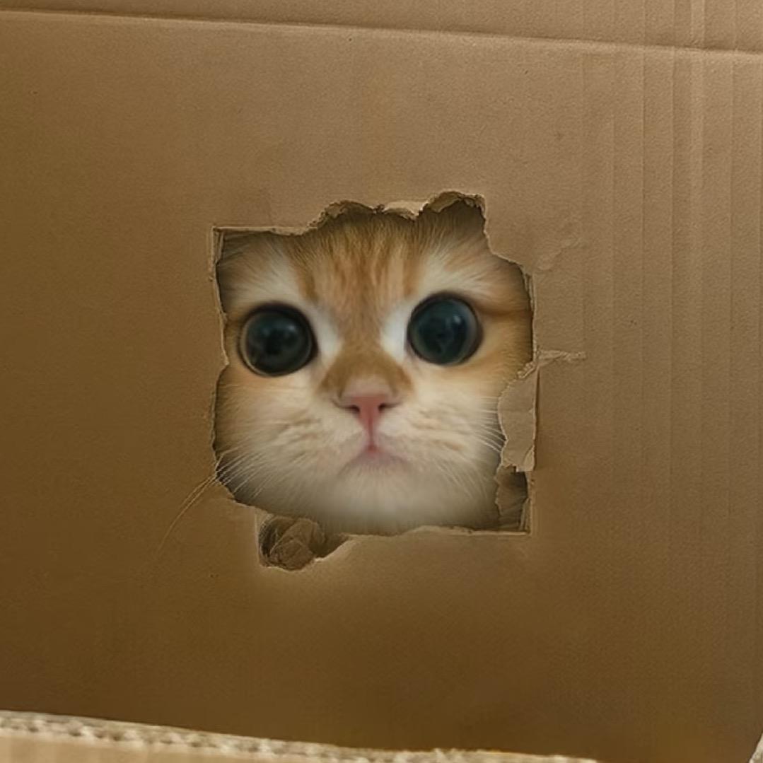 泡面的贴贴们
