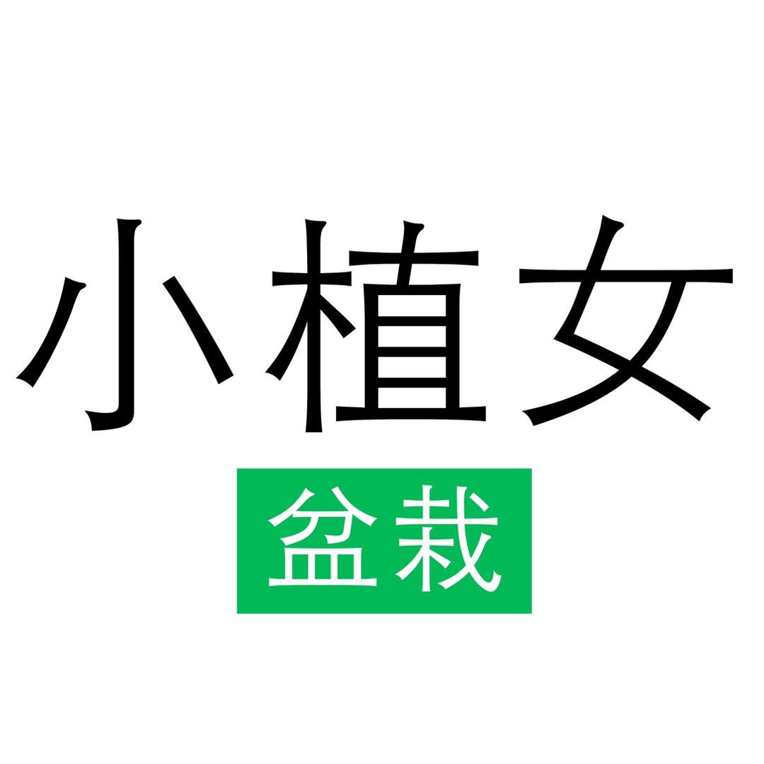 小植女绿植旗舰店