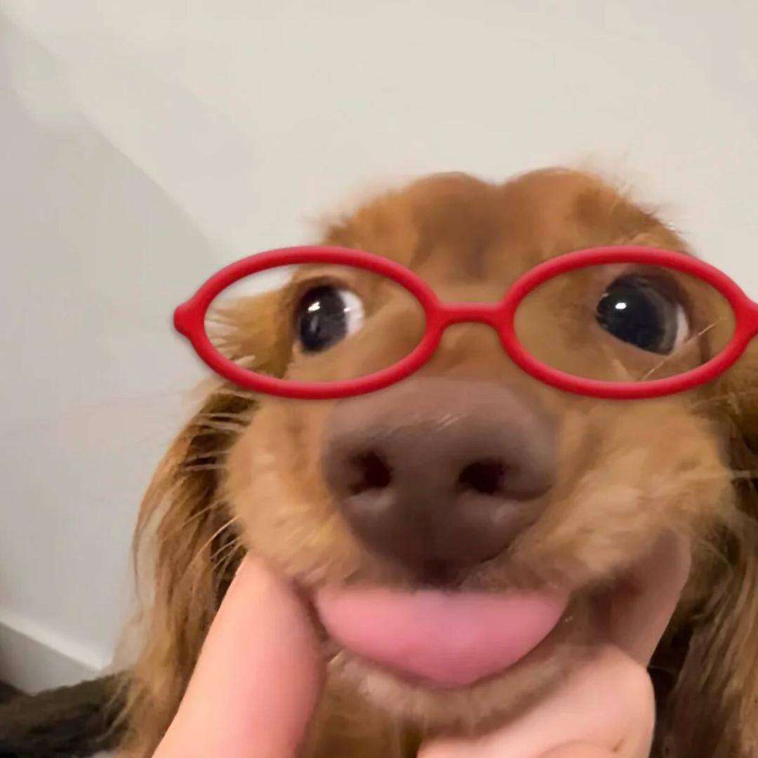 牵线学姐