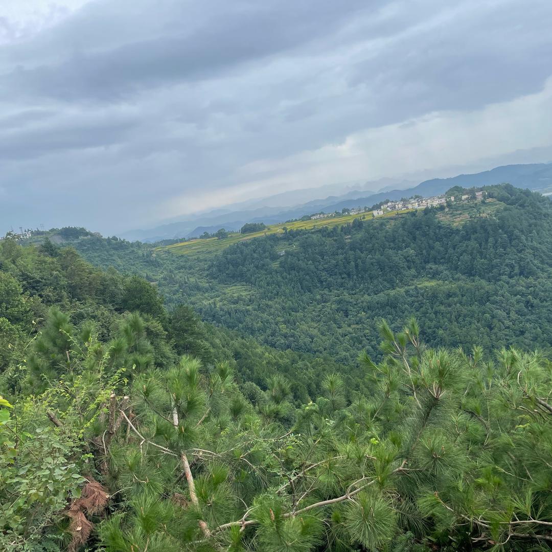 合力宝贝王修文店