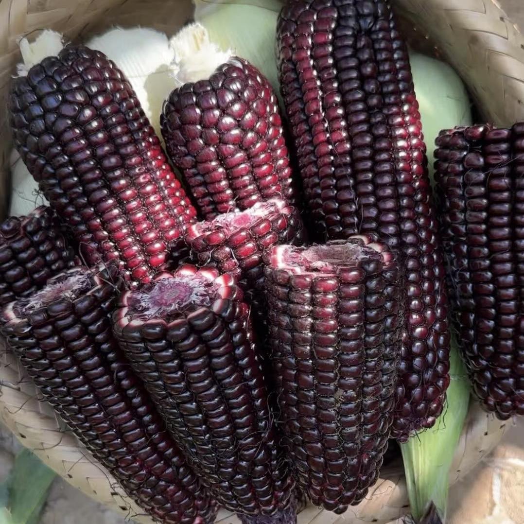 寻鲜君水果旗舰店