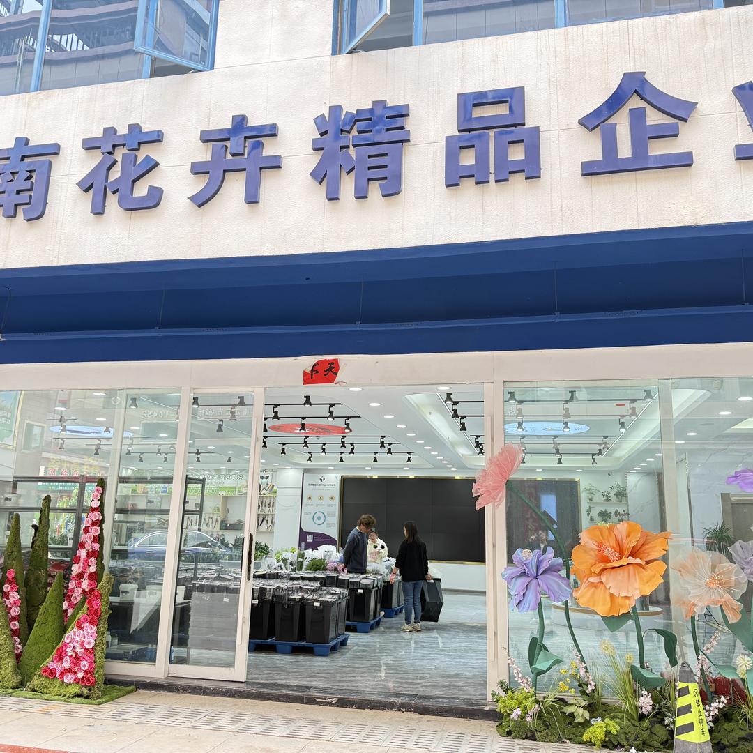 云南鲜花花卉园