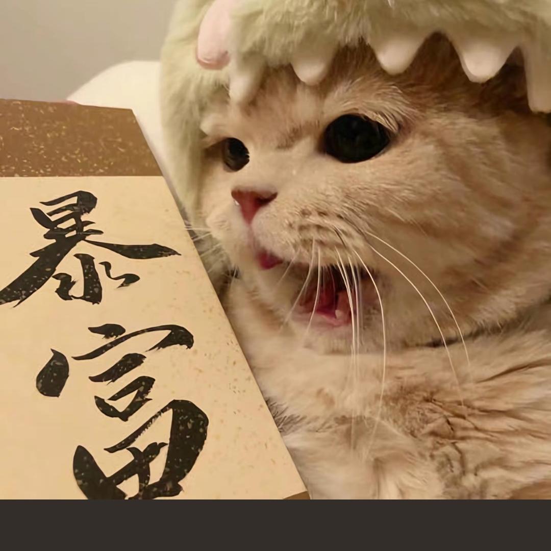 @熊爆爆的衣橱