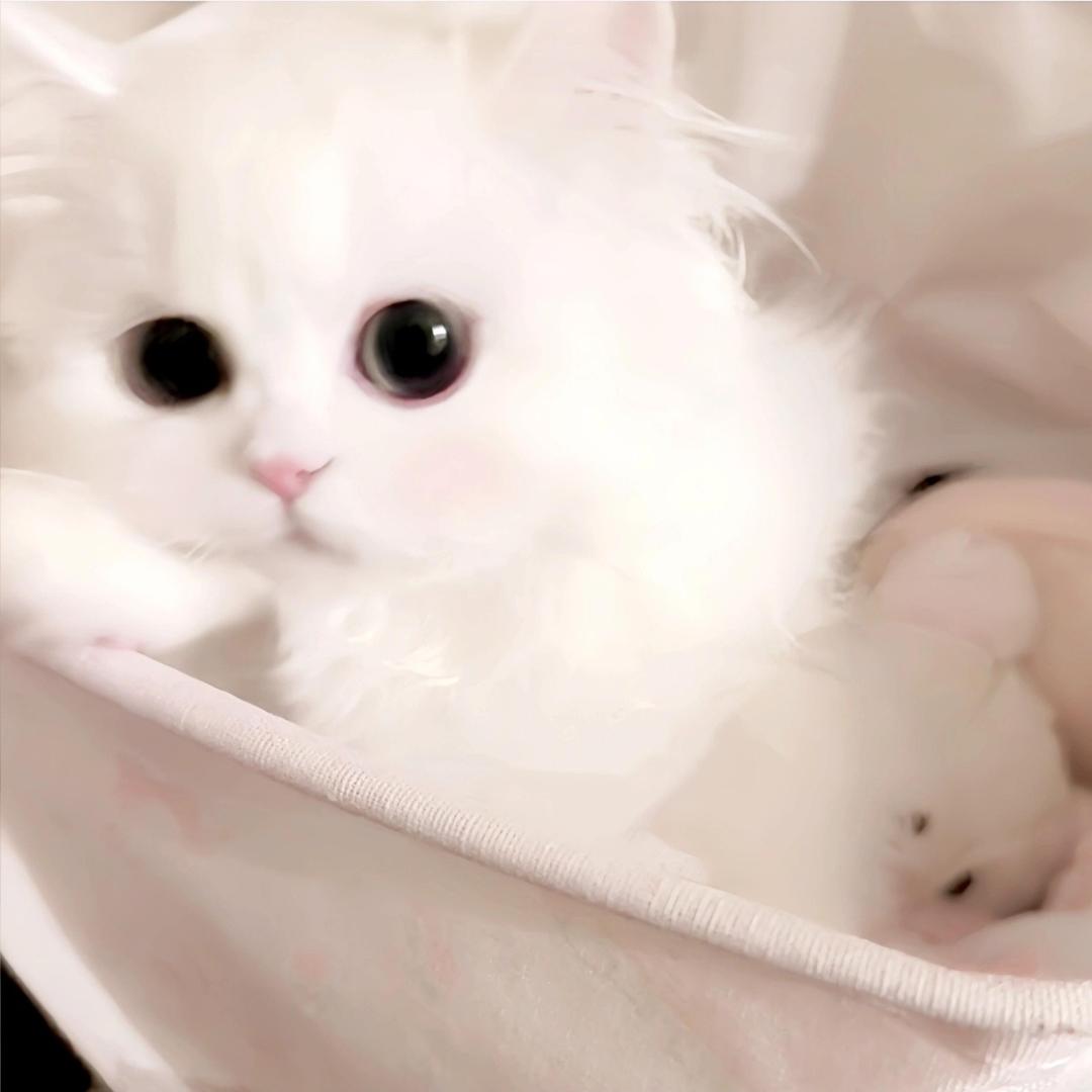 蛋挞大王