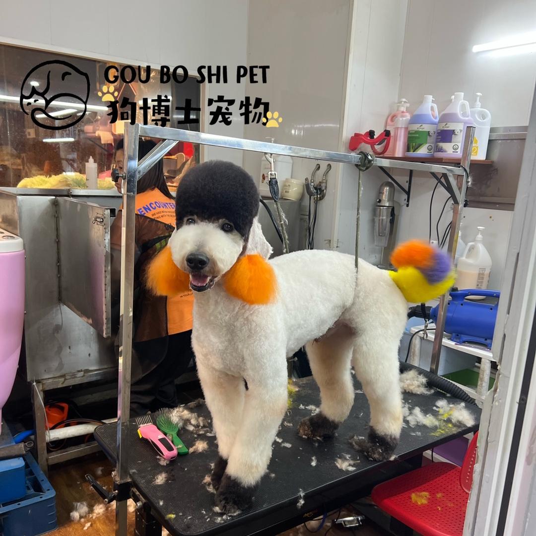 狗咪咪博士宠物会馆