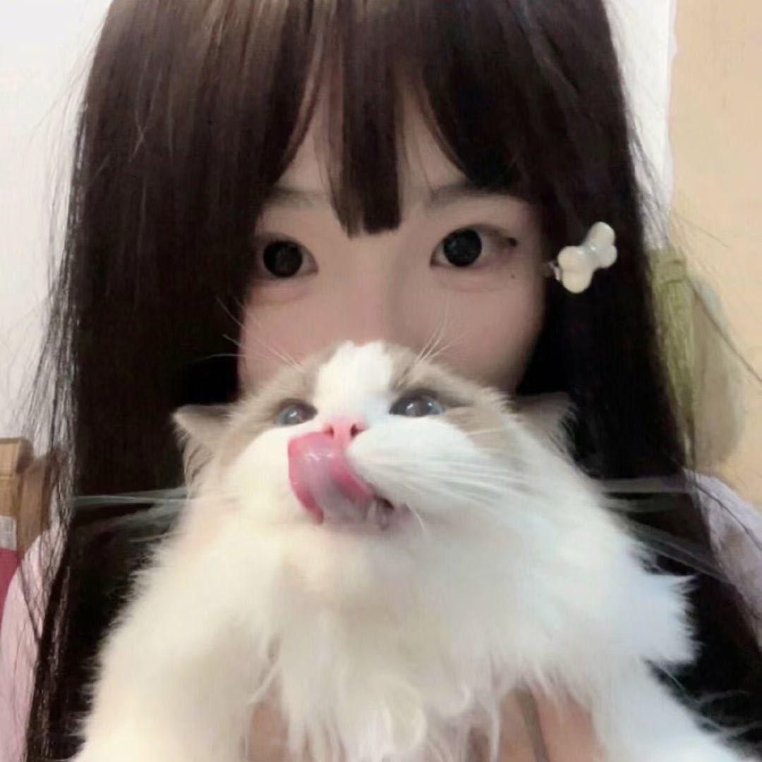 黏人小金毛