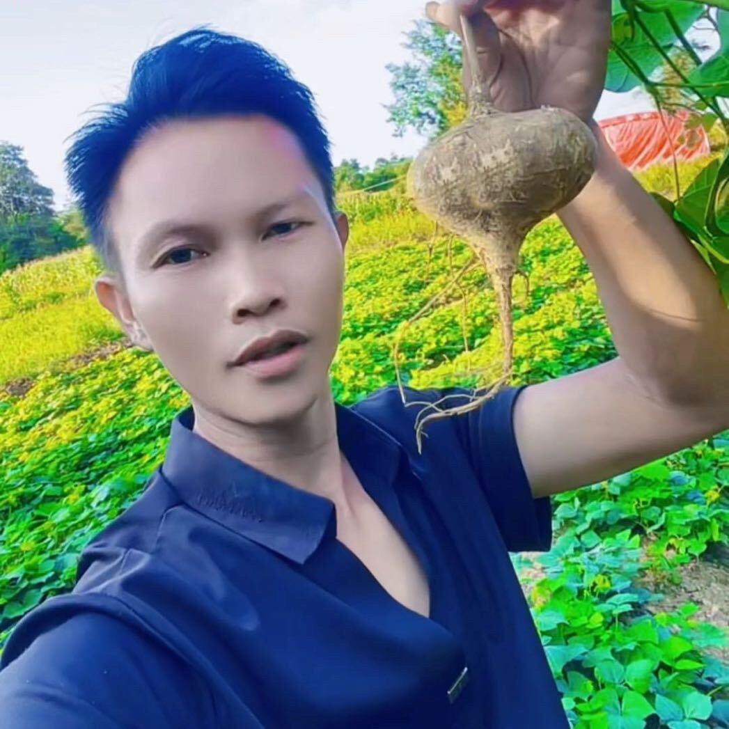 贵州王林(贵州安顺镇宁地罗卜)