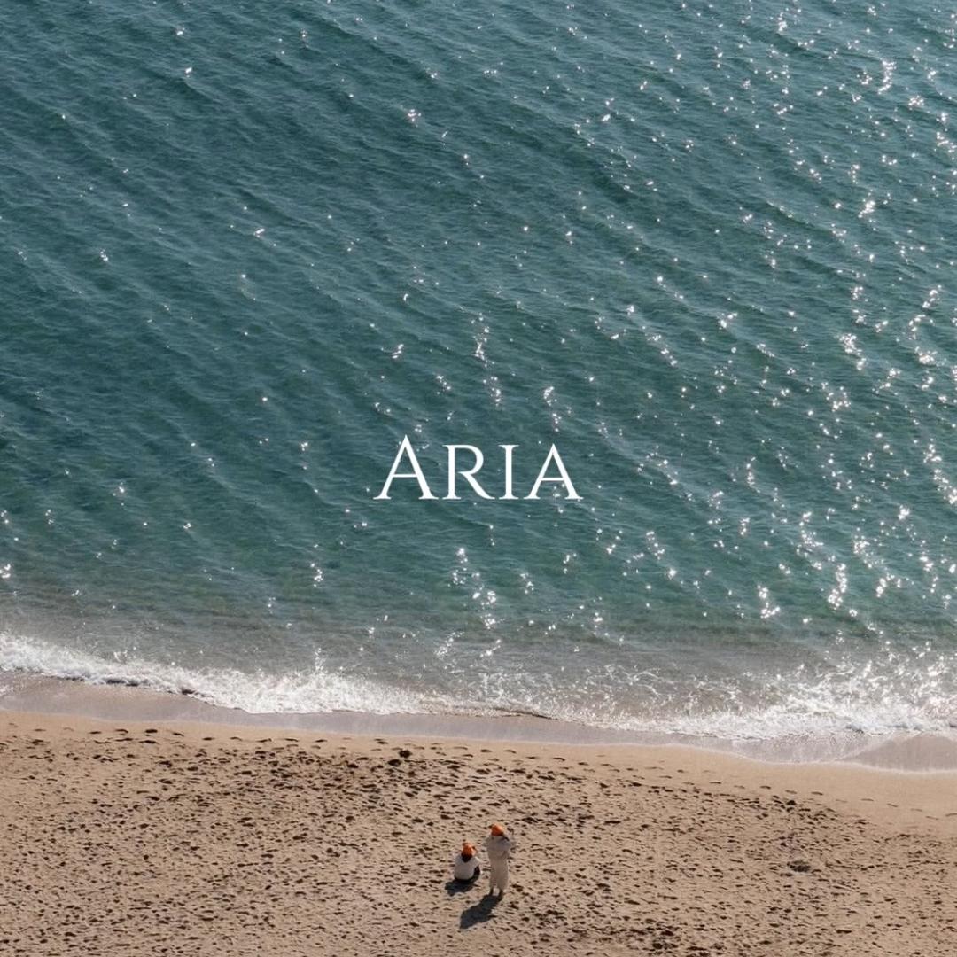 珲春市阿利亚服装店