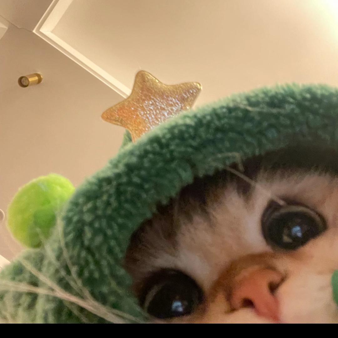 拌面ᐝ