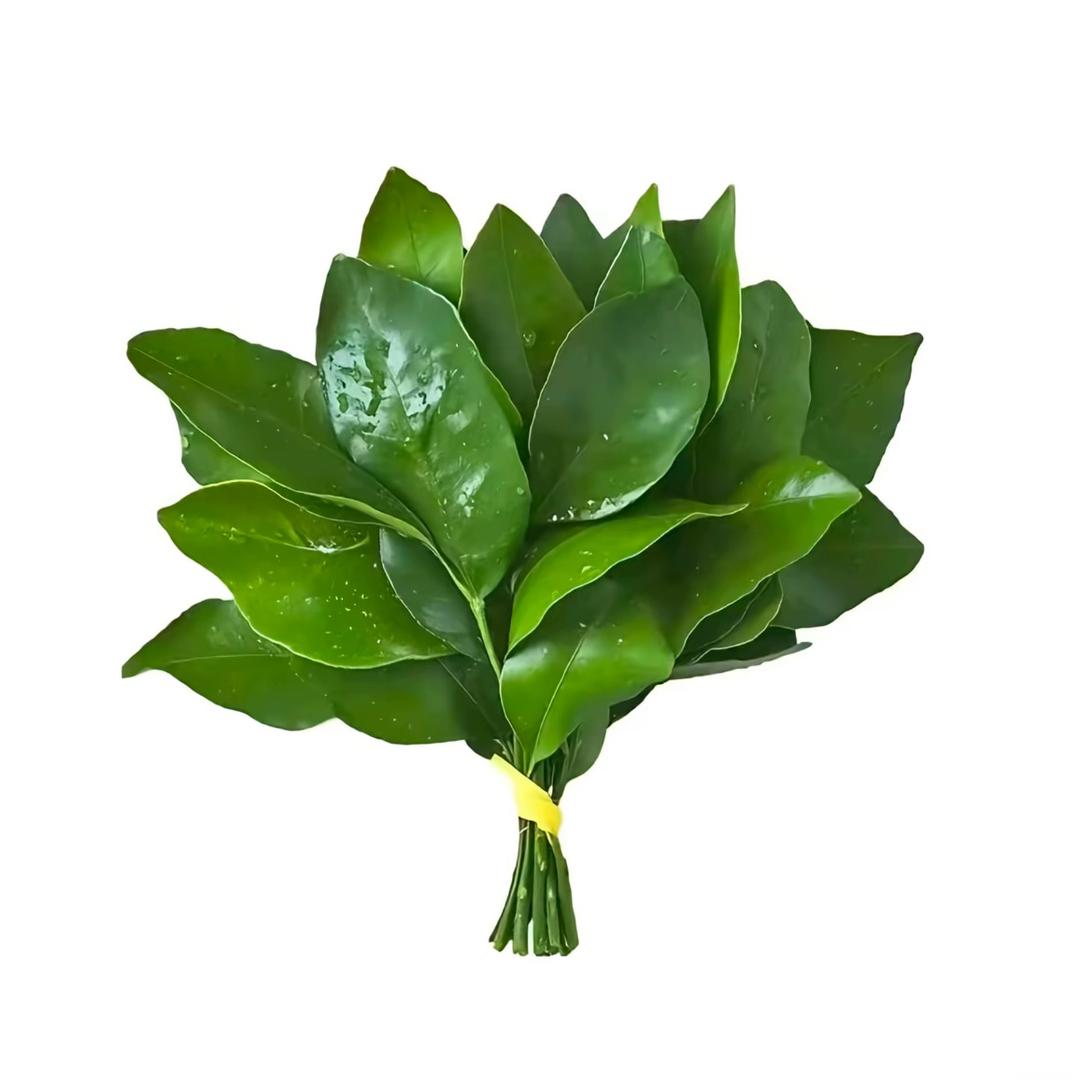 意baby：