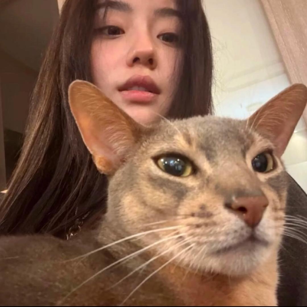 七颗痣