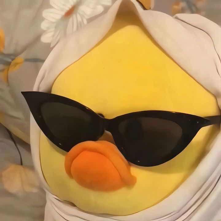 潇洒哥。