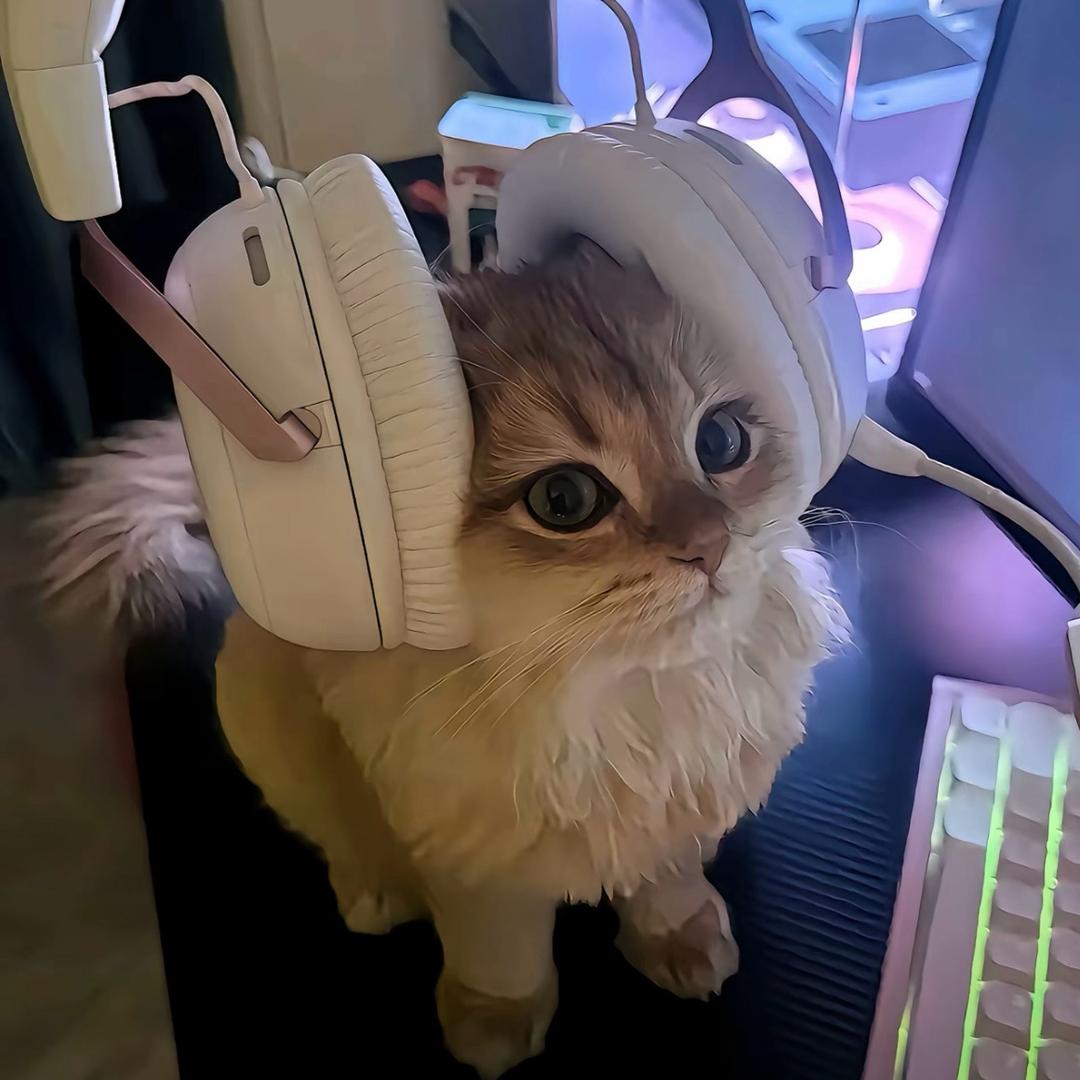 M.h