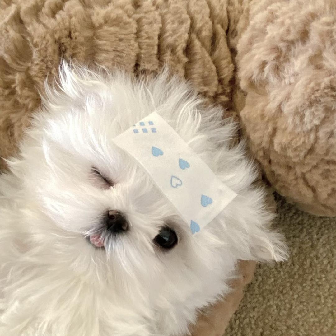 想逃离
