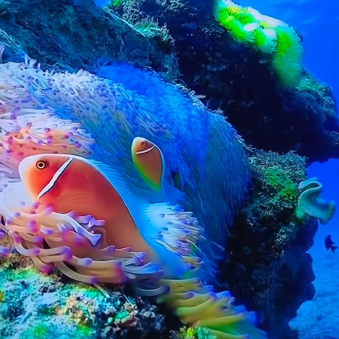 武汉.千灯之夜团购