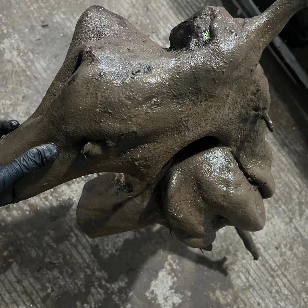 泡泡金弹子的头像